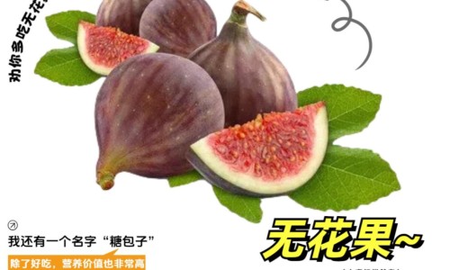 腊八糕的功效与作用及禁忌-腊八糕的功效与作用网- 腊八饭的正宗做法知识,分享腊八粥的家常做法
