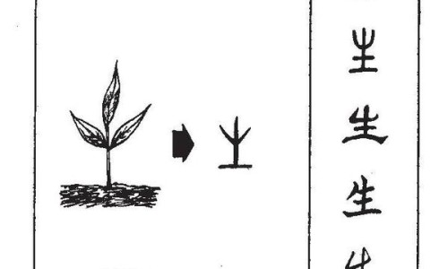 腊八糕的功效与作用及禁忌-腊八糕的功效与作用网- 腊八饭的正宗做法知识,分享腊八粥的家常做法